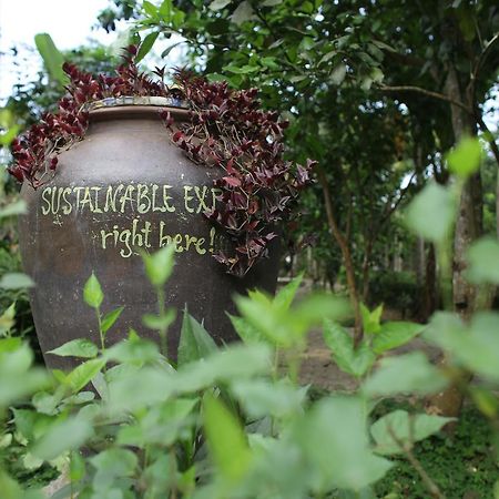 Thuy Bieu Homestay Hue Exteriör bild
