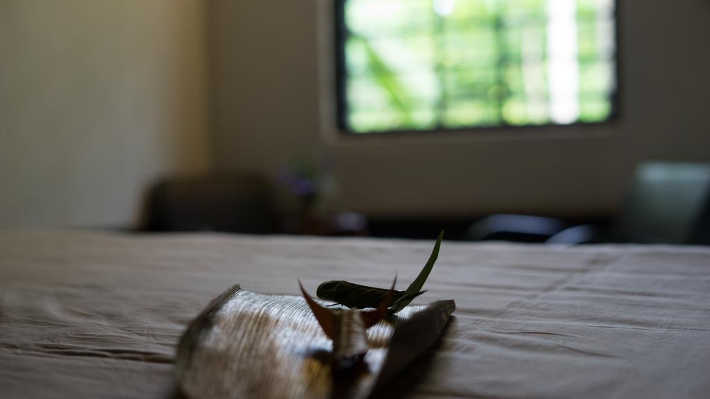 Thuy Bieu Homestay Hue Exteriör bild