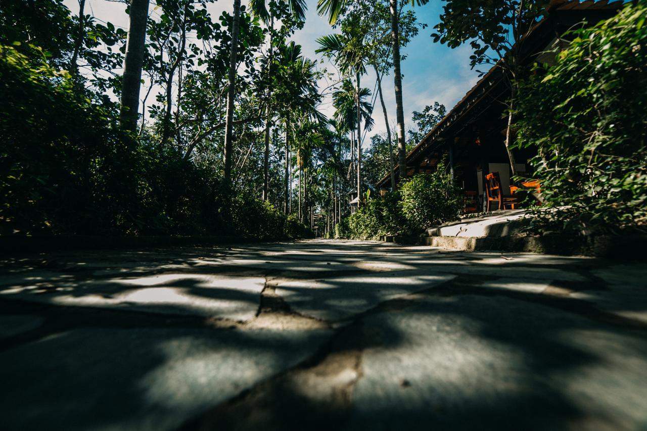 Thuy Bieu Homestay Hue Rum bild