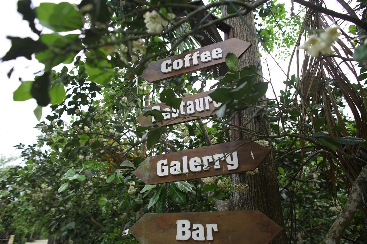 Thuy Bieu Homestay Hue Exteriör bild