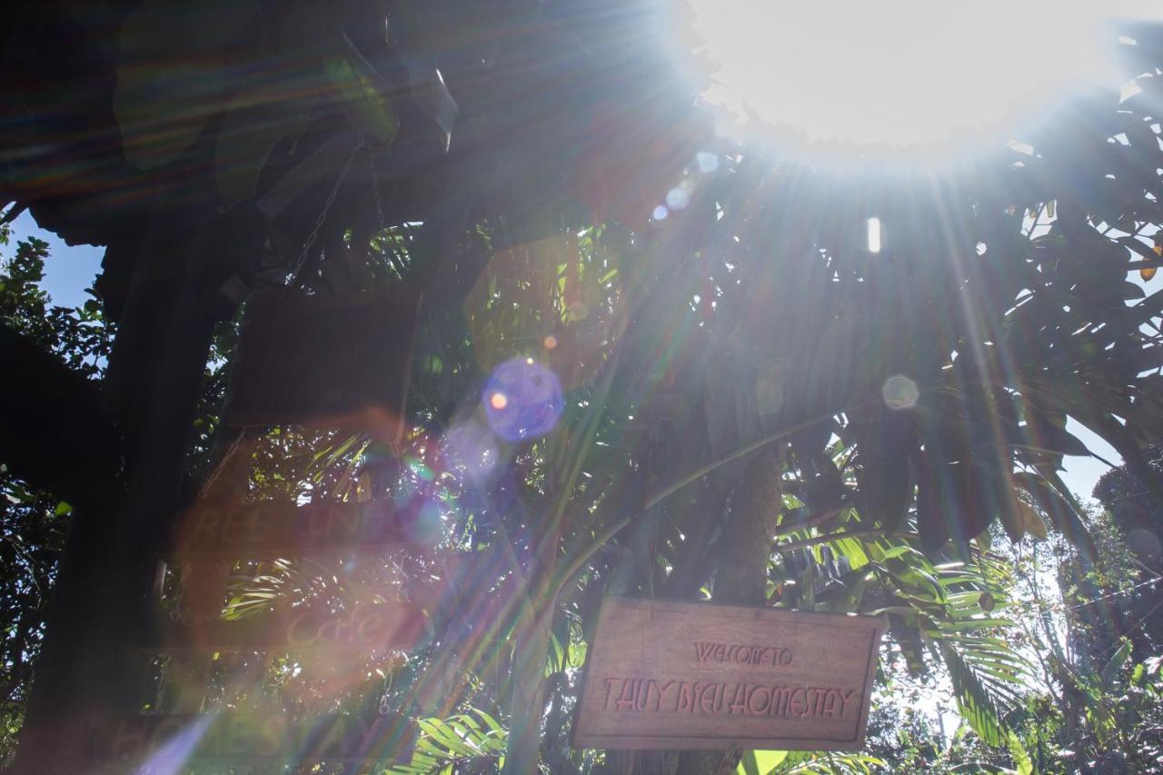 Thuy Bieu Homestay Hue Rum bild